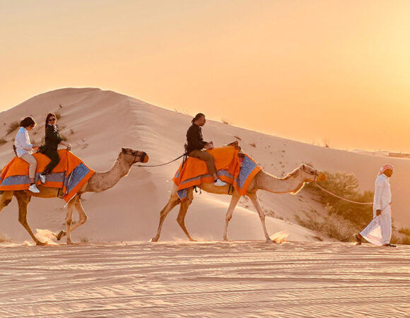 Abu Dhabi Evening Desert Safari - BBQ Dinner Camel Ride and Shows