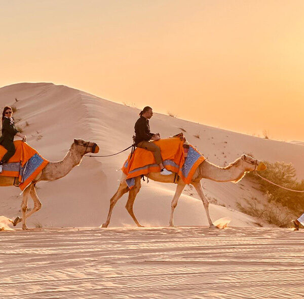 camel safari